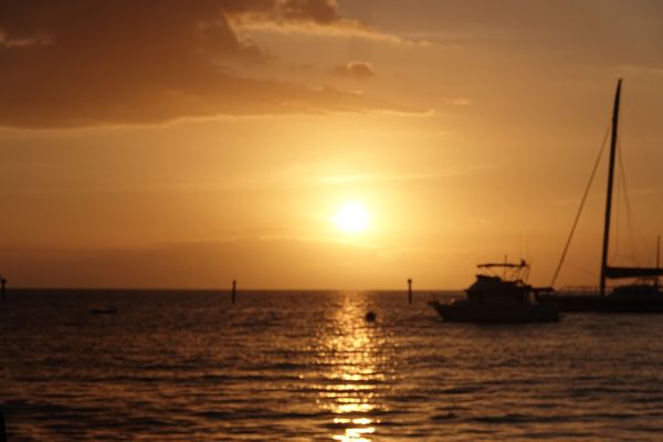 アメリカ(米国)・ハワイ「マウイ島　2018夏」の写真：Aloha Mixed Plateで夕食...