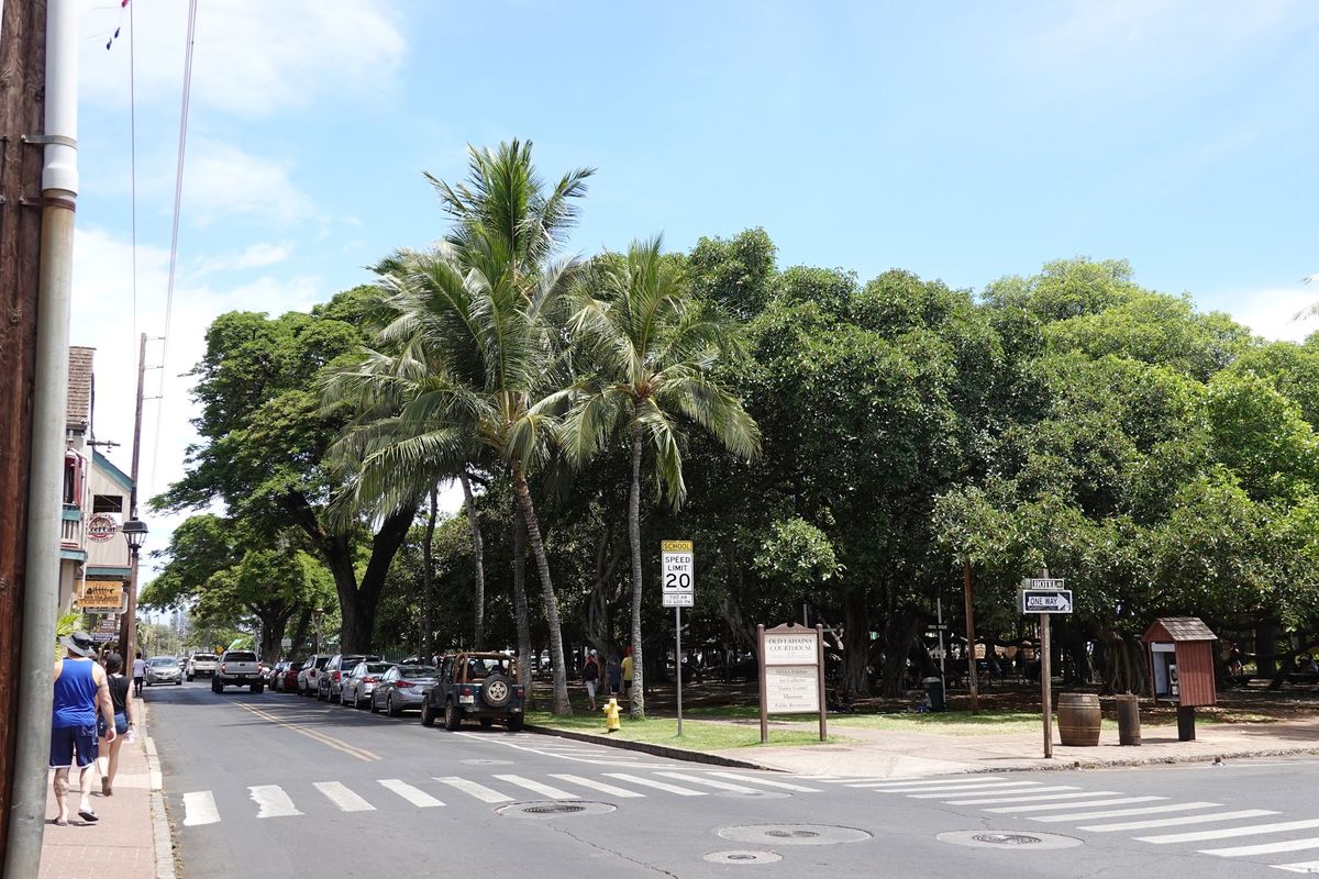 ラハイナの町

お土産屋とギャラリーがたくさんあった
4枚目がラハイナバニ...