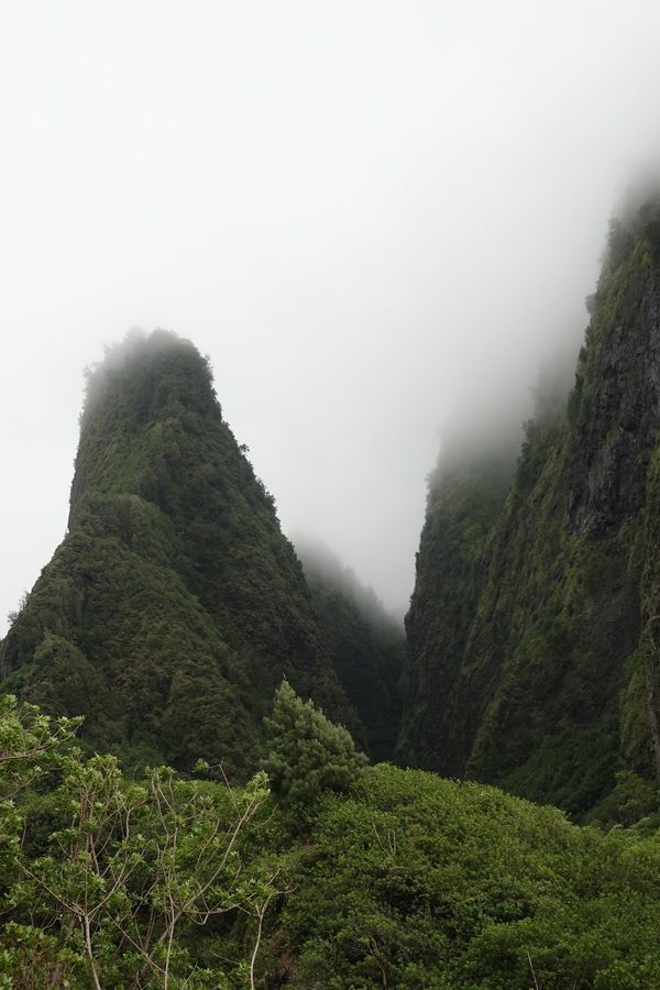 アメリカ(米国)・ハワイ「マウイ島　2018夏」の写真：イアオ渓谷

下の川に降りれて少しあるく...