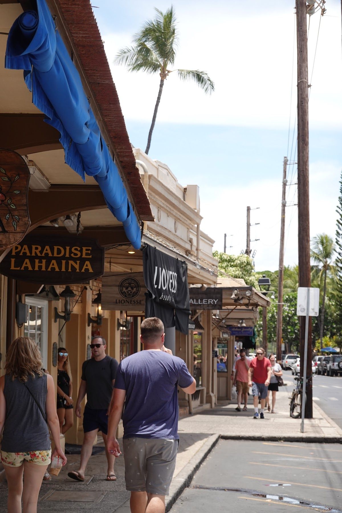 ラハイナの町

お土産屋とギャラリーがたくさんあった
4枚目がラハイナバニ...