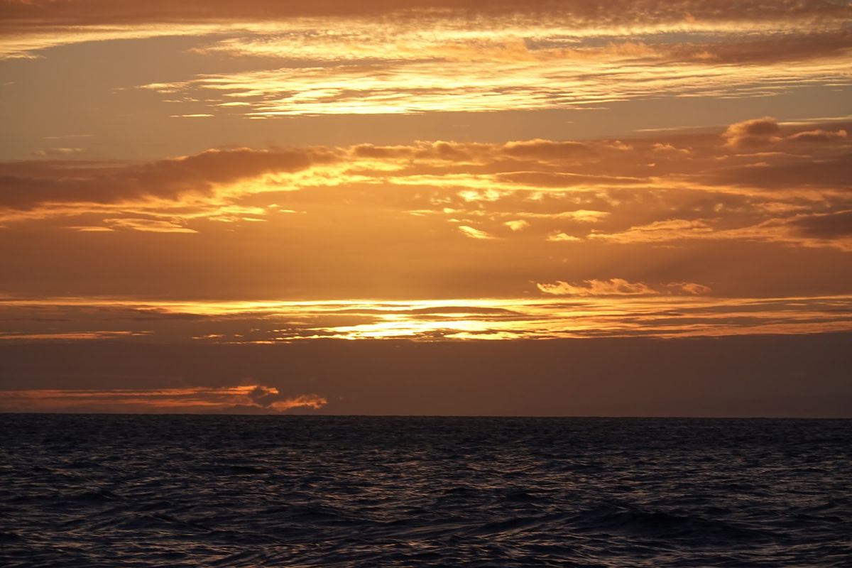 夕日と月