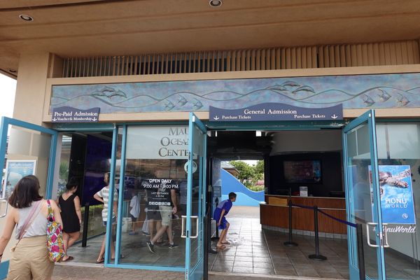 アメリカ(米国)・ハワイ「マウイ島　2018夏」の写真：マウイ・オーシャン・センター

ホノルル...