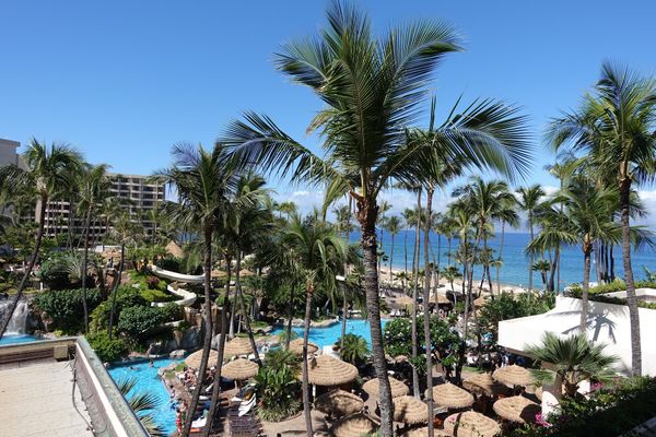 アメリカ(米国)・ハワイ「マウイ島　2018夏」の写真：カアナパリのウェスティンマウイのプールは...