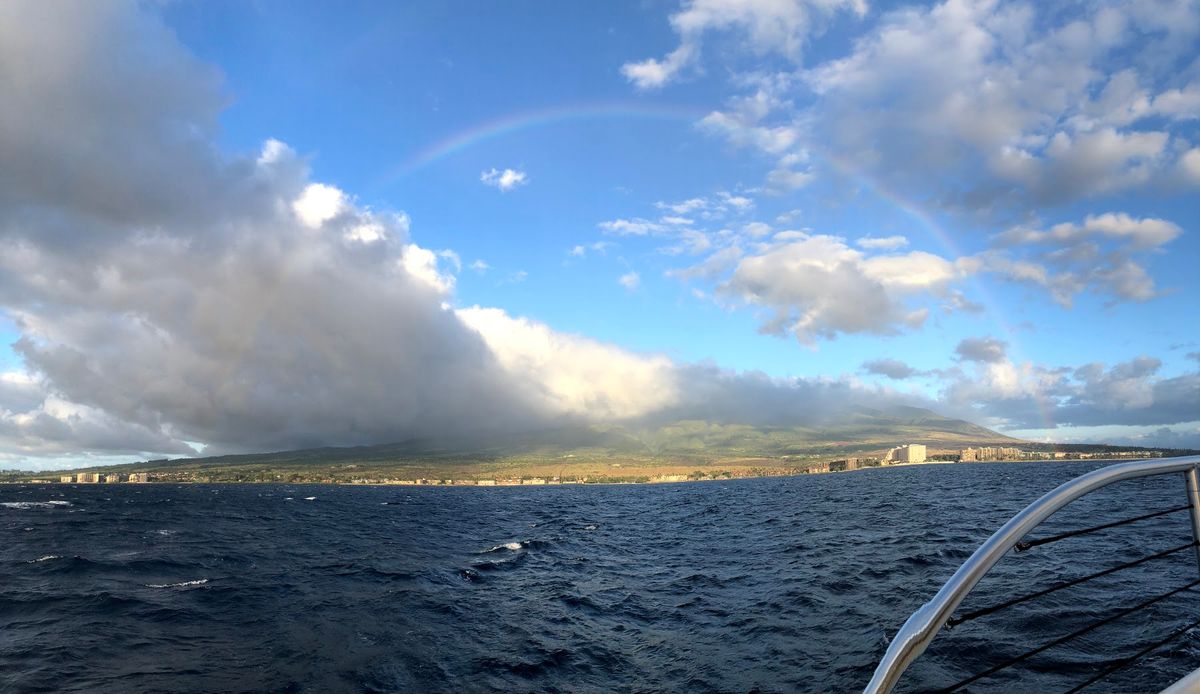 船に乗ってサンセットディナー
当日予約してみたら空いてた！
長男が酔いました笑