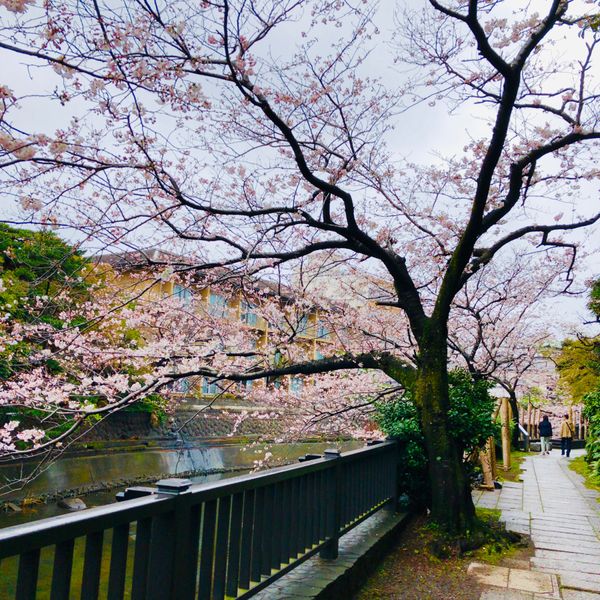 日本・静岡県「伊東」の写真