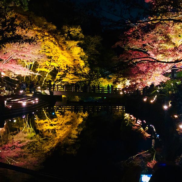 日本・愛知県「愛知🍁」の写真