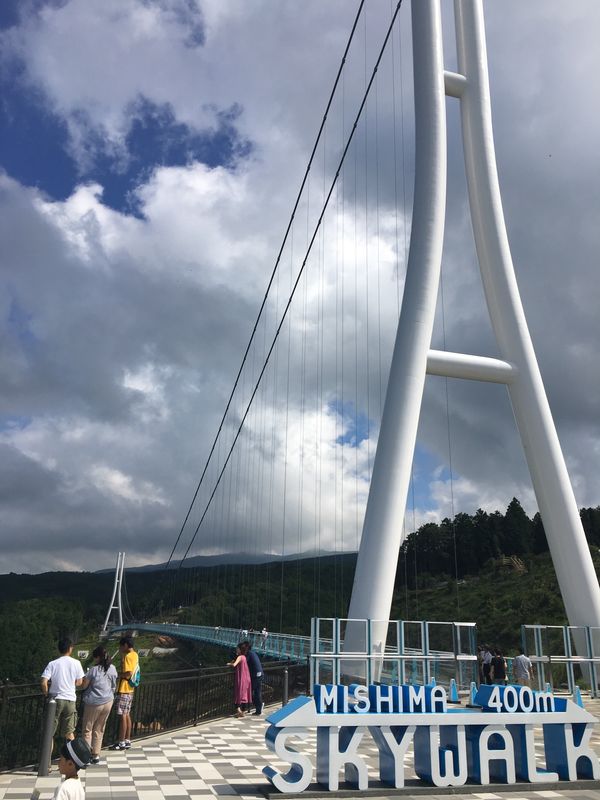 日本・静岡県「⑦東京ウォーキング🗼　　　　　　　　　三島駅→箱根入生田駅」の写真