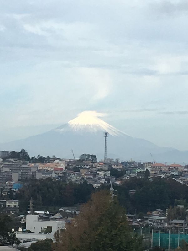 日本・神奈川県「⑨東京ウォーキング🗼　　　　　　　　　茅ヶ崎駅→東神奈川駅」の写真