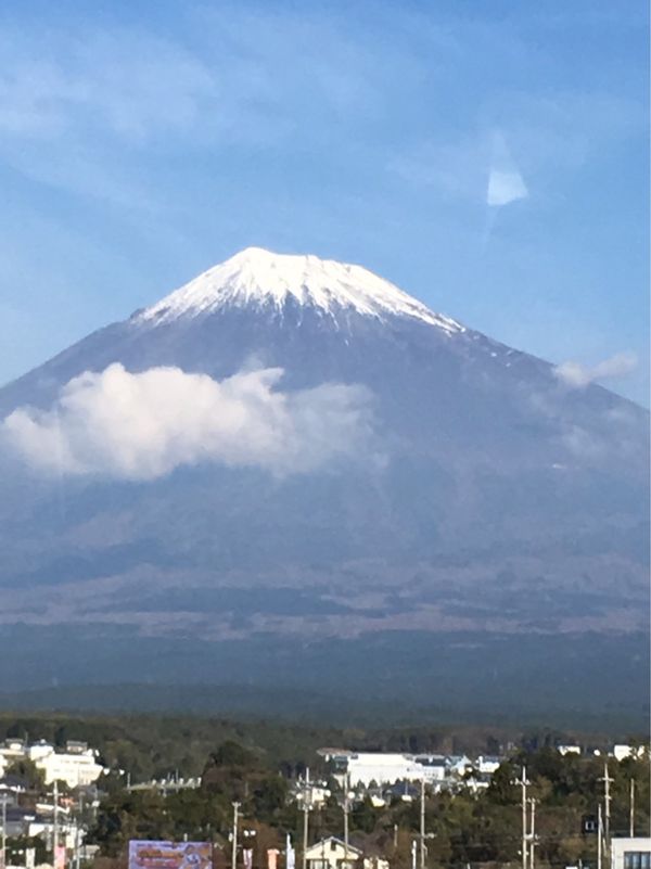 日本・静岡県「ファールプレイ旅行　伊豆半島」の写真