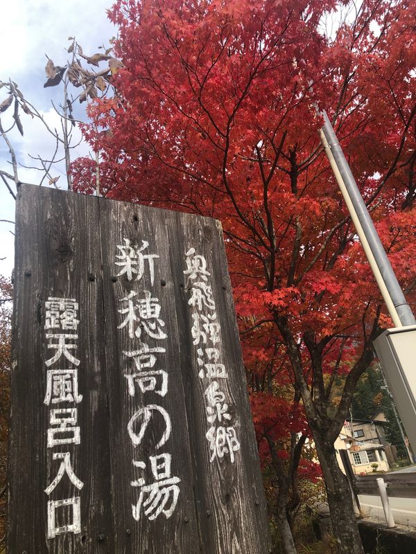 日本・岐阜県「大屋　日帰り温泉ドライブ　高山飛騨」の写真