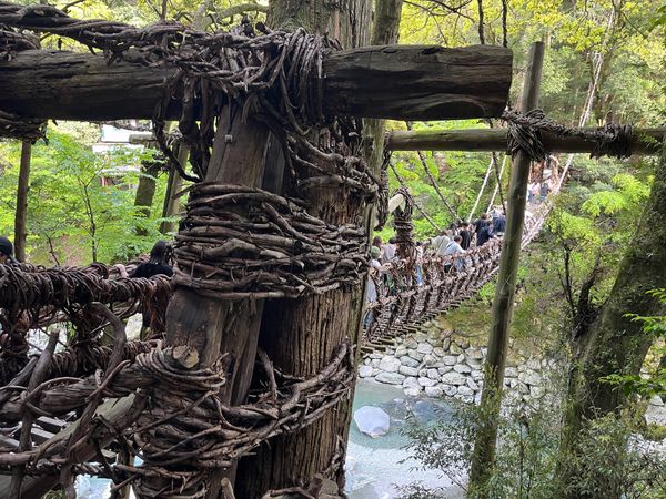 日本・徳島県「👪香川うどん家族旅行　かずら橋桂浜小豆島」の写真