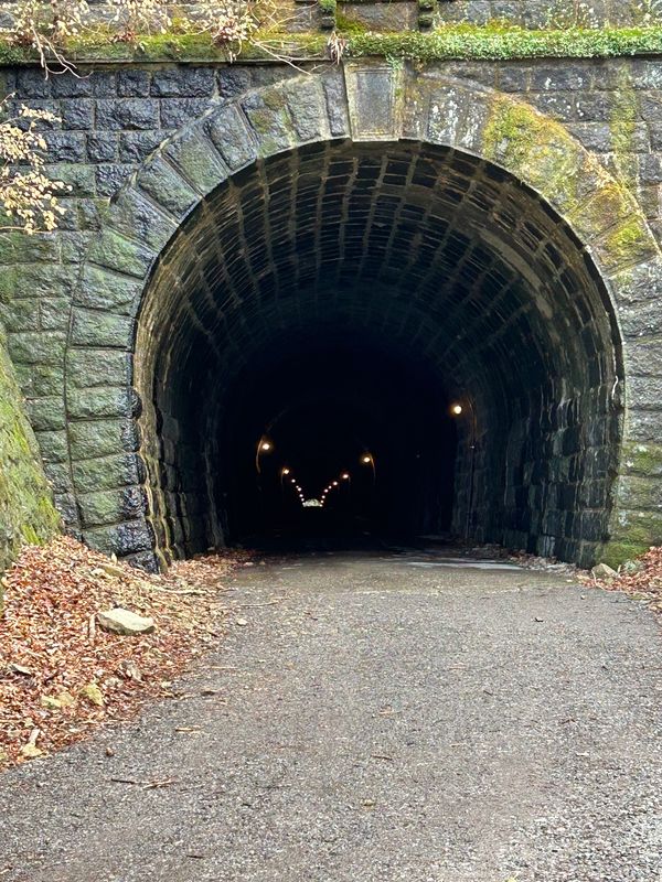 日本・静岡県「正月旅行」の写真：天城山隧道