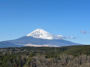 三島スカイウォーク