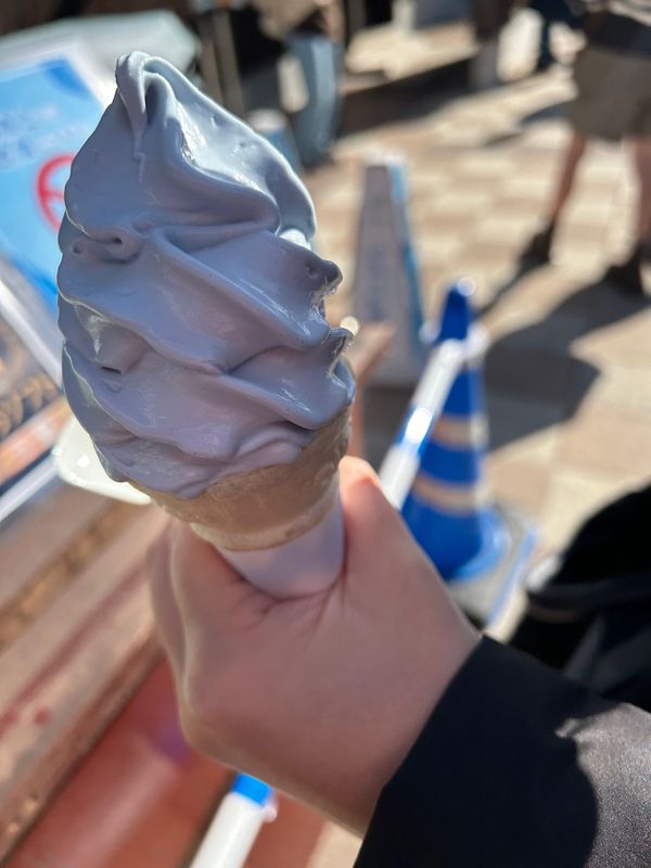 日本・静岡県「正月旅行」の写真：三島スカイウォーク