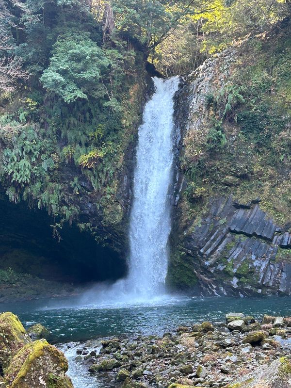 日本・静岡県「正月旅行」の写真：浄蓮の滝