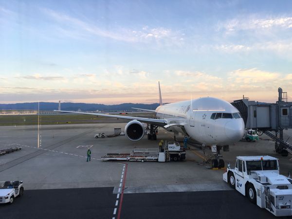 タイ・バンコク「M タイ　パタヤ」の写真