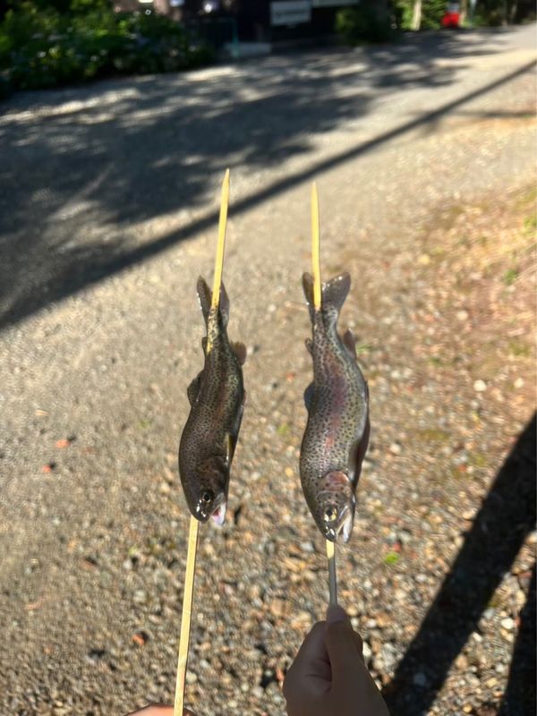 日本・岐阜県「🏕️NAO明野高原キャンプ&ラフティング」の写真