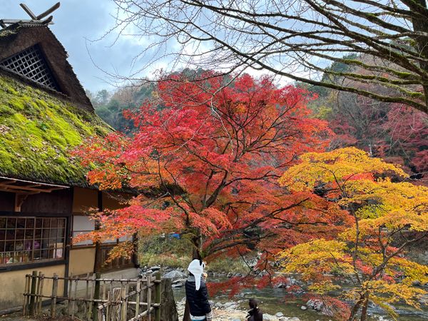 日本・愛知県「👬香嵐渓日帰りドライブ」の写真