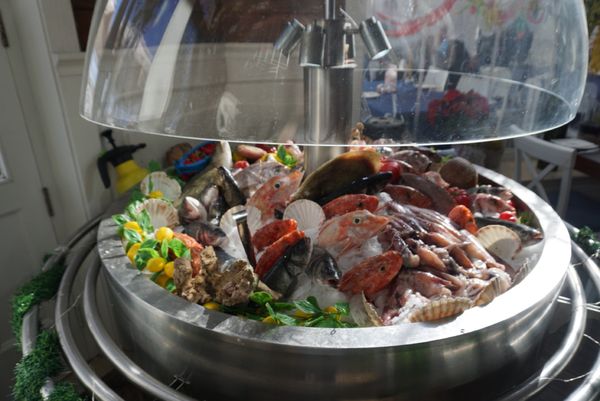 マルタ「マルタ」の写真