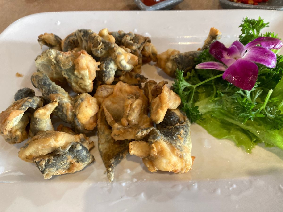 ドンナイ省の友達の家へ。建設中のロンタイン空港(sân bay Long ...