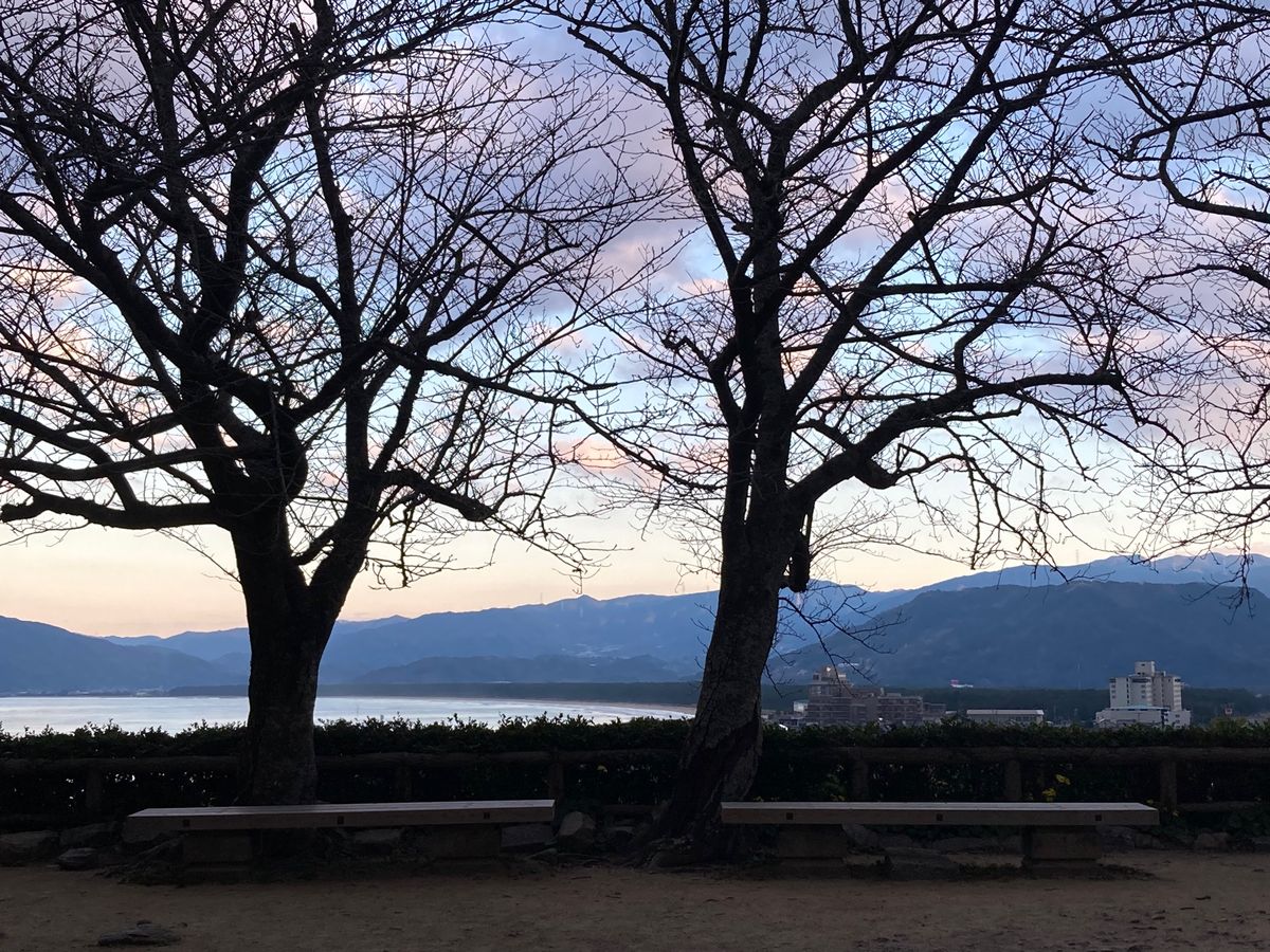 チェックインの前に唐津城へ。聖地だから、行かない選択肢はない‼️
藤棚に行...