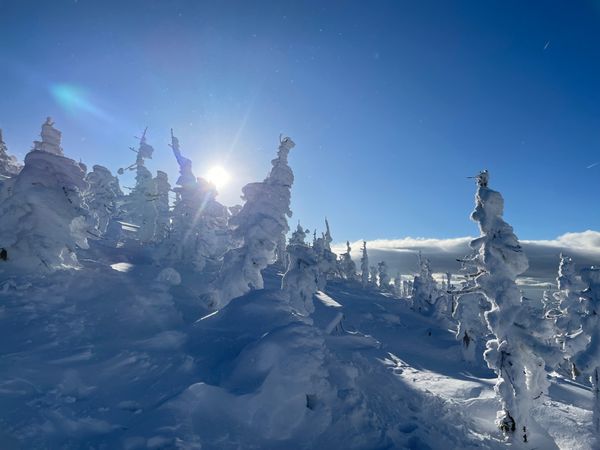 日本・山形県「スノボ@蔵王」の写真