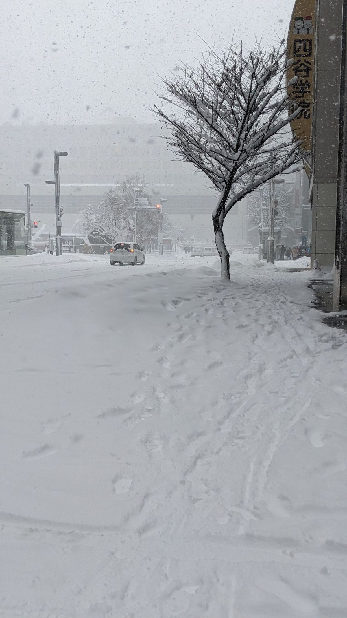 最終日は飛行機が飛ばないかもと警告が出るほどの大雪。
逆にこの雪で遊びなが...