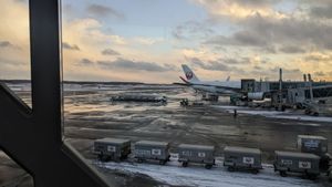 最終日は飛行機が飛ばないかもと警告が出るほどの大雪。
逆にこの雪で遊びなが...