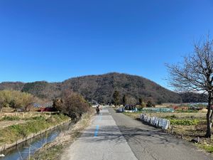 琵琶湖やその近くの田んぼにはコハクチョウの群れがいました。山本山にはオオワ...