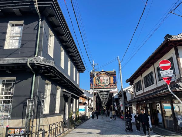 日本・滋賀県「湖北バードウォッチングと長浜散策」の写真