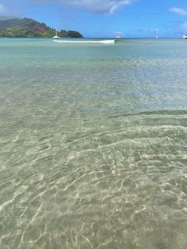 アメリカ(米国)・ホノルル「夫婦でハワイ」の写真：ハナレイビーチはとてもきれいでした。ライ...