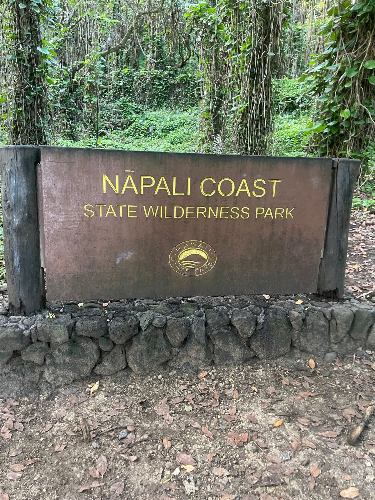 ハナカピアイ滝を見にトレッキング。旅行者がトレイルに入るには事前に予約が必...