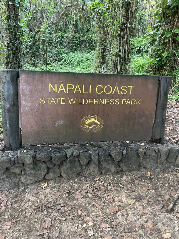 アメリカ(米国)・ホノルル「夫婦でハワイ」の写真：ハナカピアイ滝を見にトレッキング。旅行者...