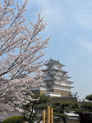 初日は姫路城まで行ってきました。