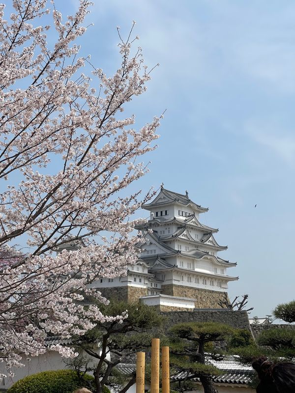 日本・京都「京都旅行」の写真：初日は姫路城まで行ってきました。