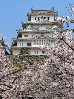 初日は姫路城まで行ってきました。