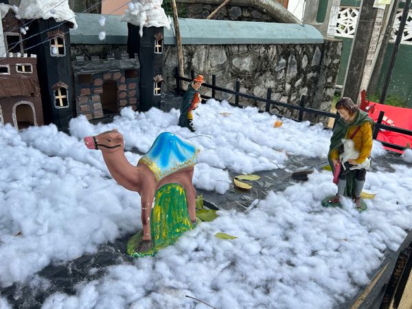 スリランカ「スリランカ アーユルヴェーダ旅」の写真