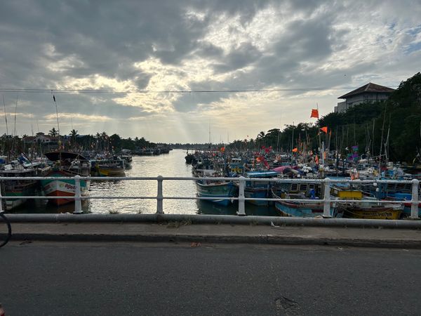 スリランカ「スリランカ アーユルヴェーダ旅」の写真