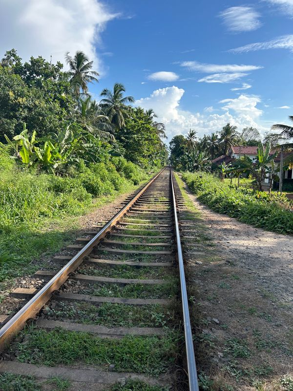 スリランカ「スリランカ アーユルヴェーダ旅」の写真