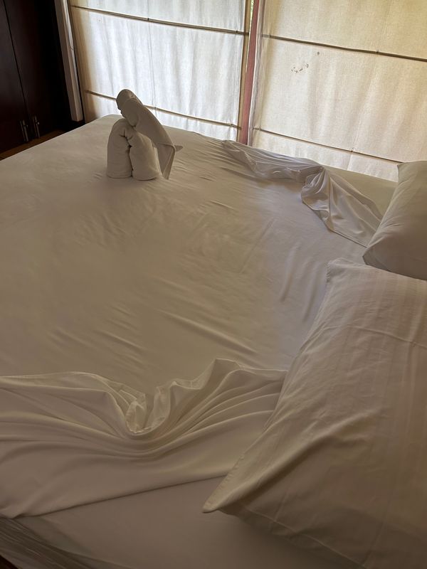 スリランカ「スリランカ アーユルヴェーダ旅」の写真