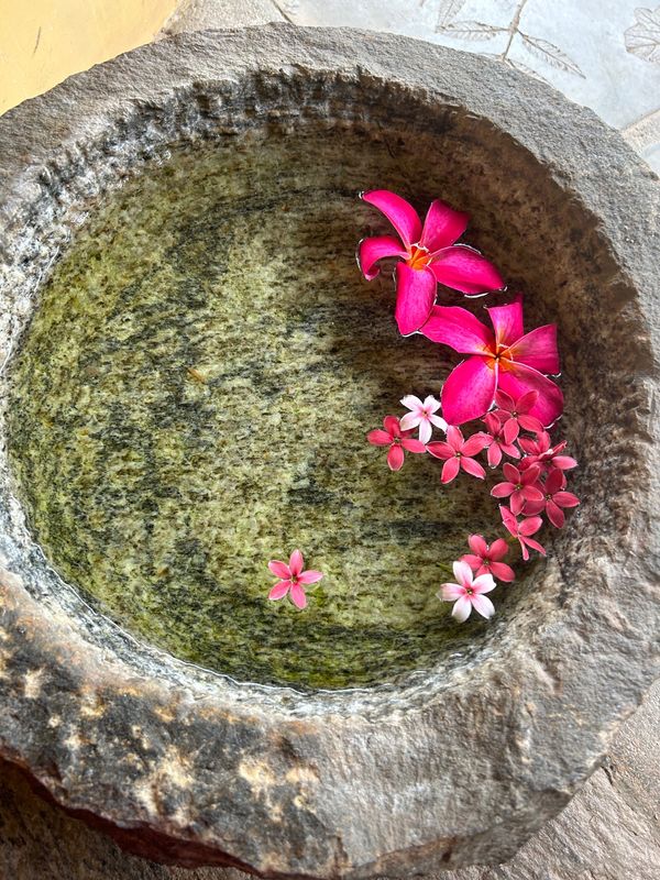 スリランカ「スリランカ アーユルヴェーダ旅」の写真