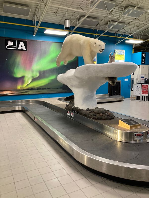 カナダ・イエローナイフ「イエローナイフ・オーロラ鑑賞旅行」の写真