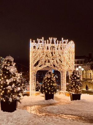 モントリオールの街を歩いて見つけたクリスマス🎄
