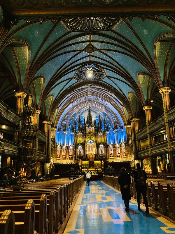 メキシコ・カンクン「モントリオール　過酷な旅」の写真：モントリオールの1番の目的
モントリオー...