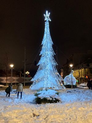 モントリオールの街を歩いて見つけたクリスマス🎄
