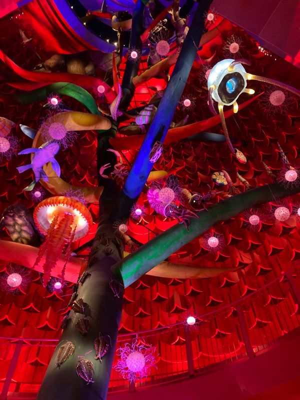 日本・京都府「大阪と京都と奈良」の写真：万博公園はコスモスが咲いていて家族連れで...