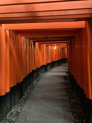 鎖国の影響もあって、おそらく最初で最後の人がいない伏見稲荷神社。
鹿苑寺は...