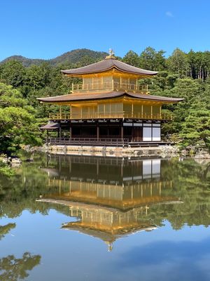 鎖国の影響もあって、おそらく最初で最後の人がいない伏見稲荷神社。
鹿苑寺は...