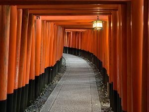 鎖国の影響もあって、おそらく最初で最後の人がいない伏見稲荷神社。
鹿苑寺は...