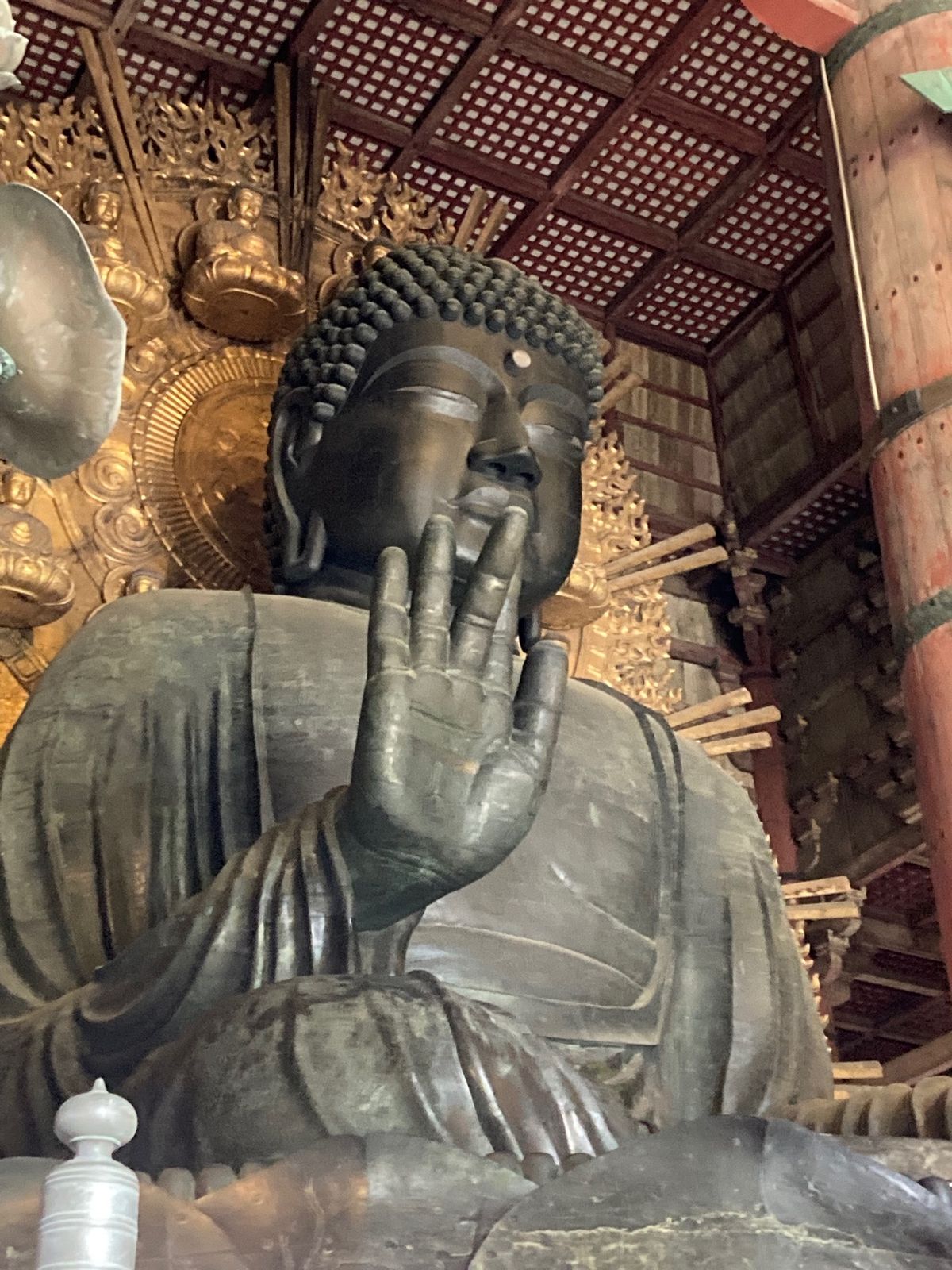 人が少なく、東大寺、平城宮跡もガラガラでした。